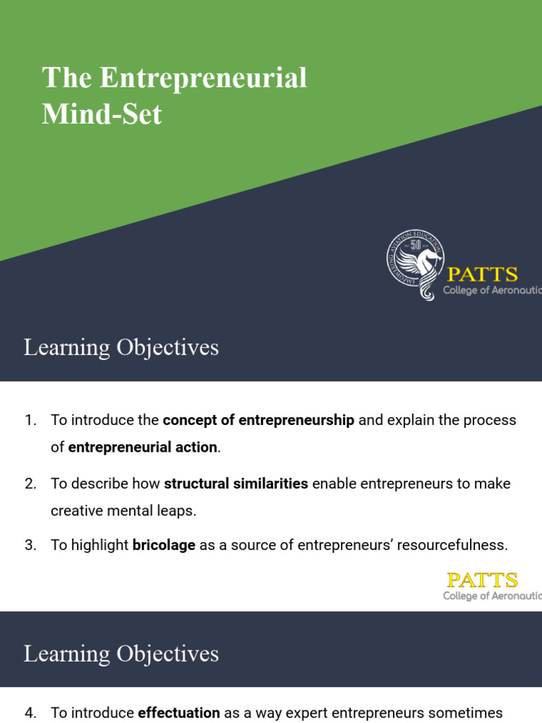 The Entrepreneurial Mind-Set | PDF | Entrepreneurship | Science