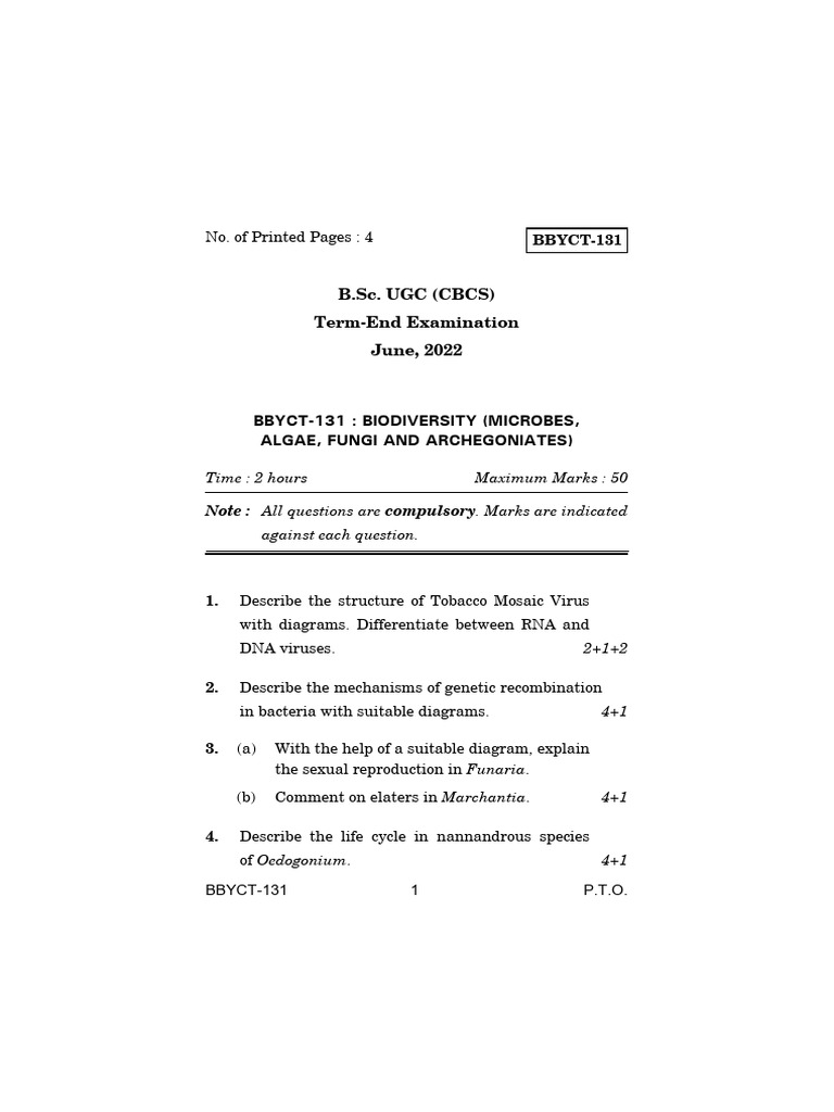 Bbyct 131 | PDF