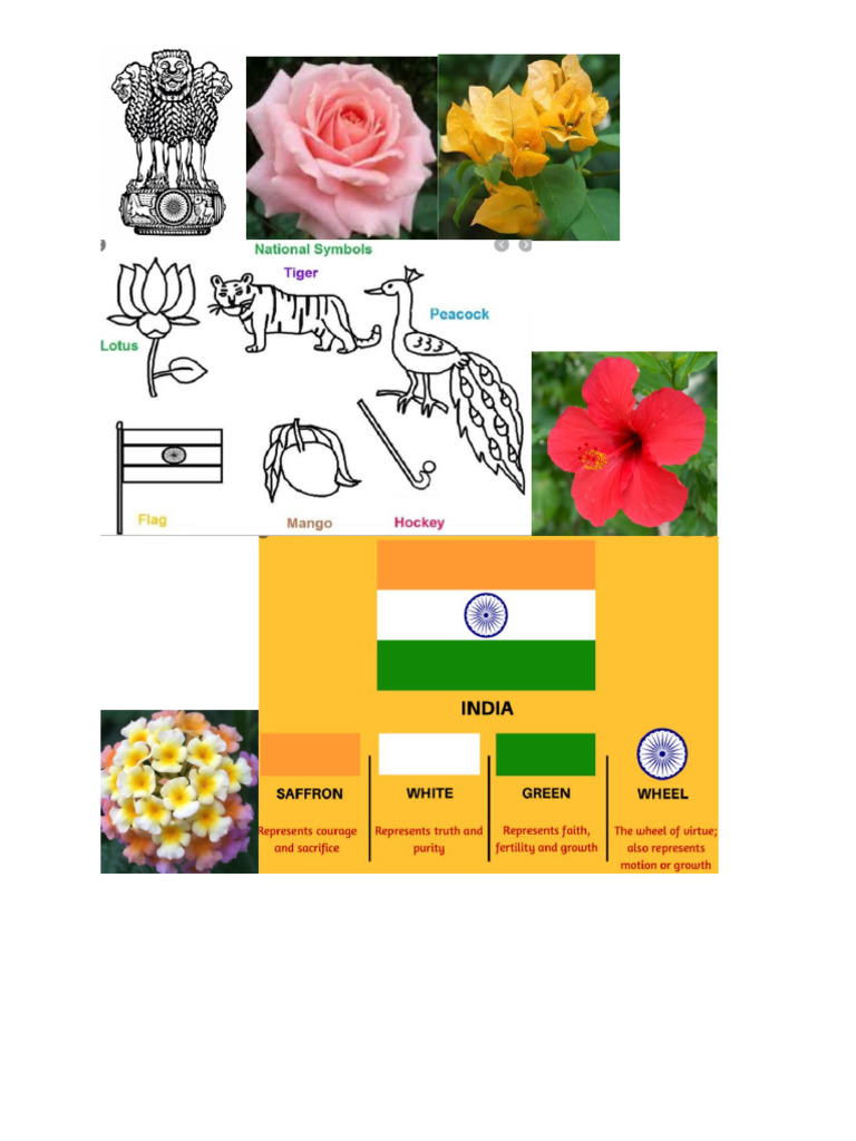 Nation Notebook | PDF