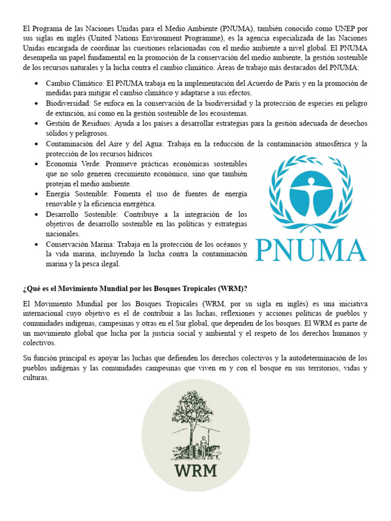 El Programa de las Naciones Unidas para el Medio Ambiente | Descargar ...