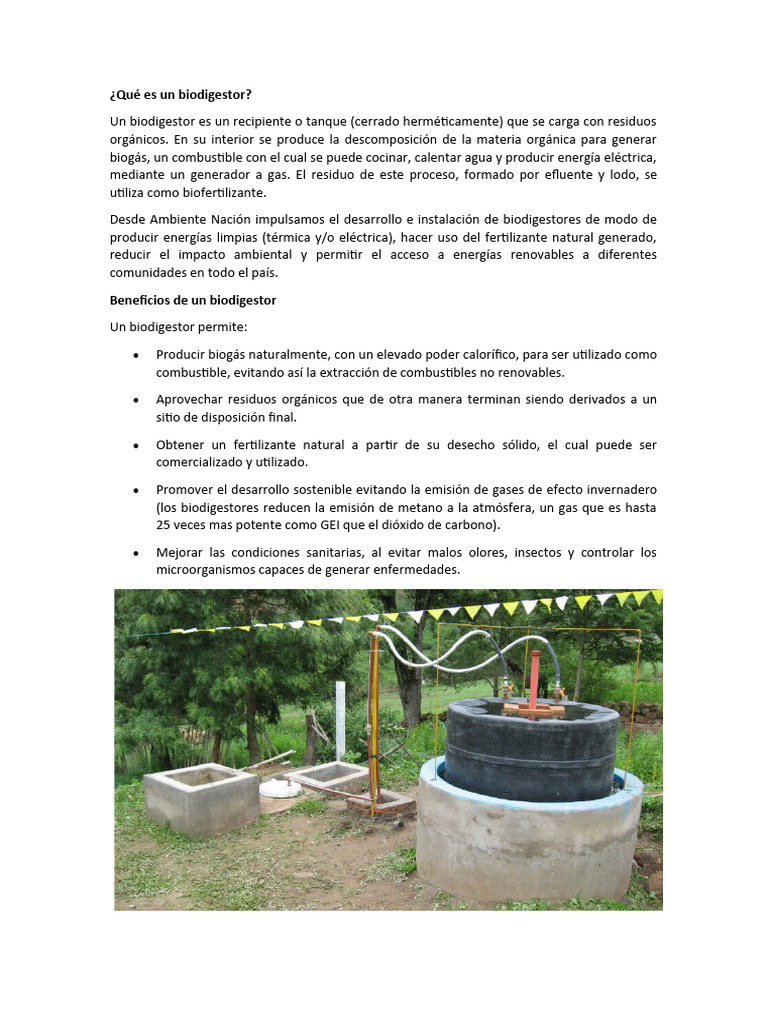 Qué Es Un Biodigestor Pdf Biogás Residuos
