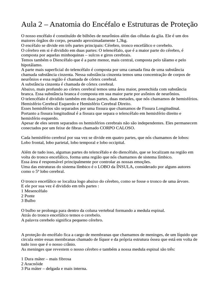 Aula 2 Sistema Nervoso Anatomia Do Encéfalo E Estruturas De Proteção