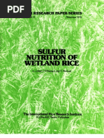 Download IRPS 21 Sulfur Nutrition of Wetland Rice by International Rice Research Institute SN74864742 doc pdf