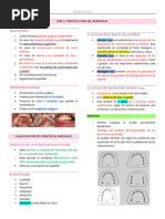 Banda Ansa: Mantenedor de Espacio Dental | PDF | Ortodoncia | Odontología