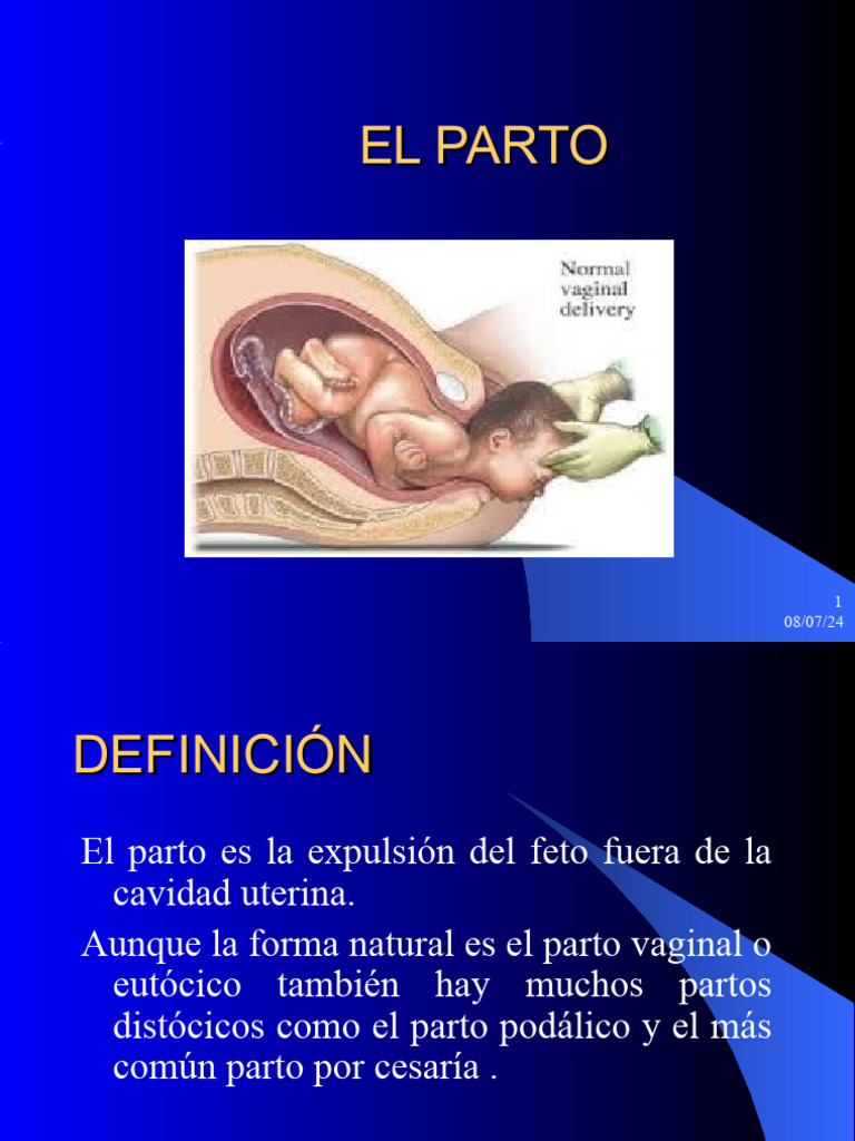 Proceso del Parto Eutócico y Fases | PDF | Parto | Placenta