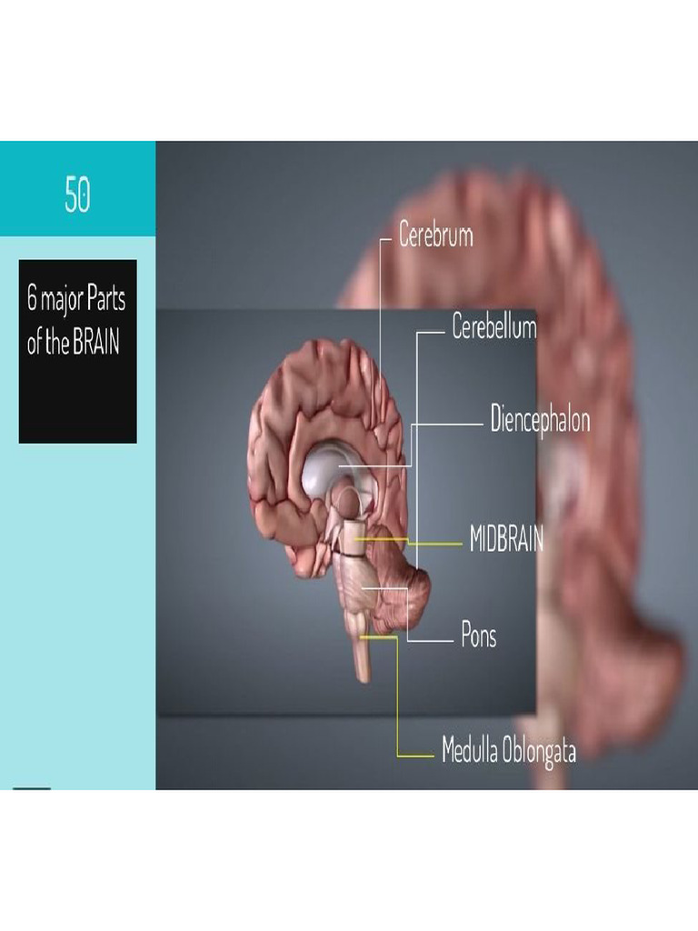 Central Station (Chicago terminal) visual data 3