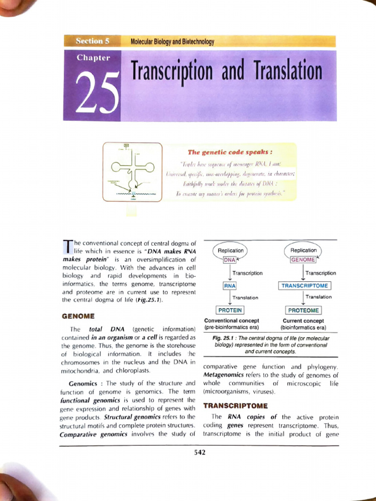 Transcription CMB | PDF | Rna | Messenger Rna