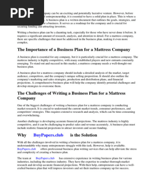 Business Plan Mattress Company