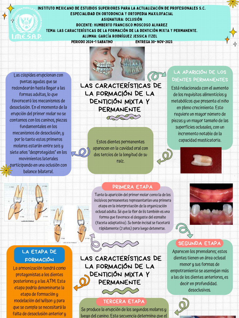 Características de La Formación de La Dentición Mixta y Permanente | PDF