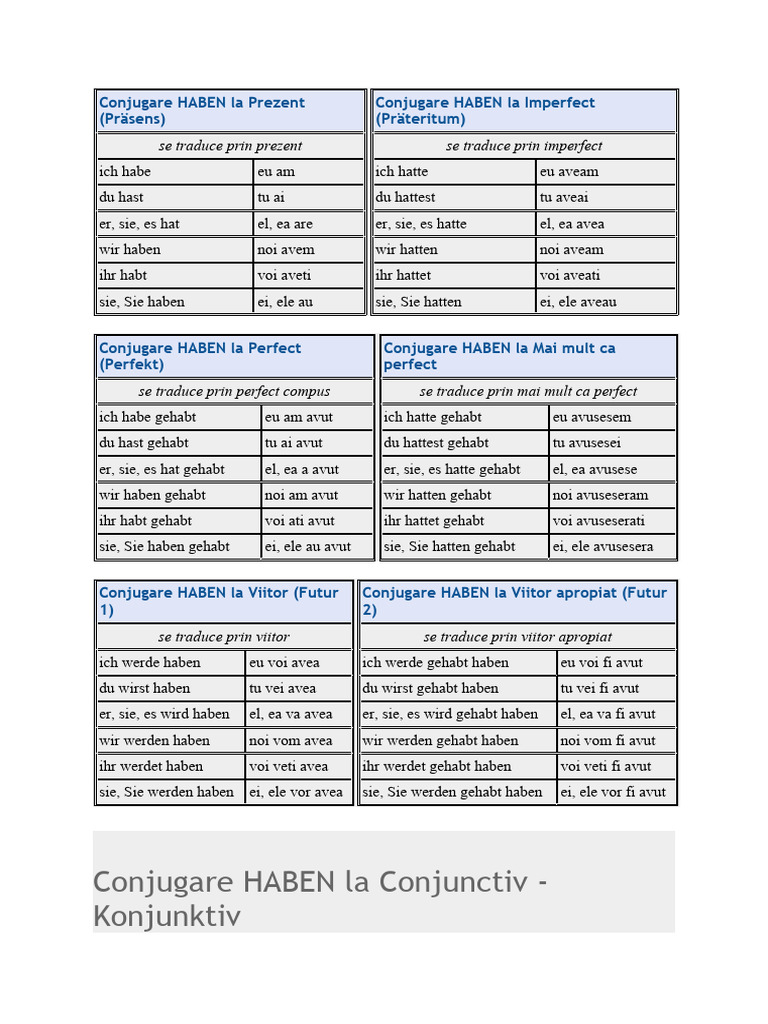 Conjugare HABEN La Prezent | PDF