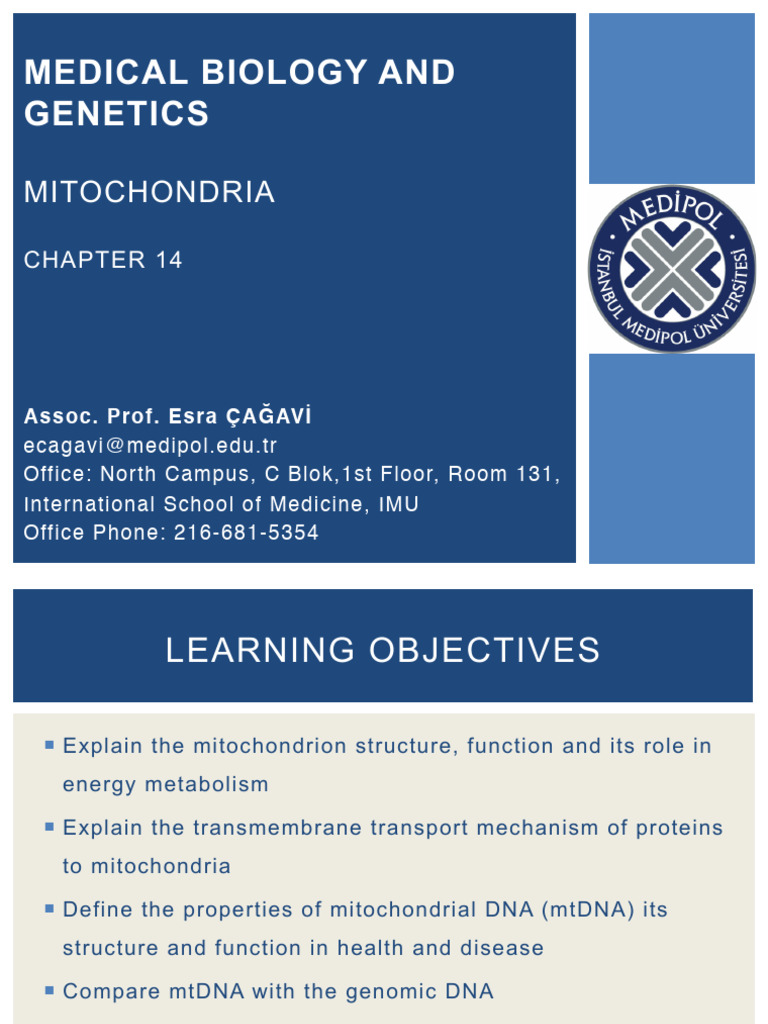 20.12.21 MBG Mitochondria and Mitochondrial Genetics | PDF ...