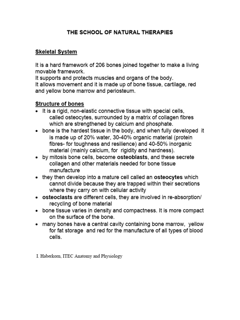 Skeletal System Pdf Vertebra Vertebral Column