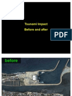 Tsunami Before After