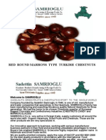 Samrioglu Chestnuts Types, Sizes, Packages and Varieties
