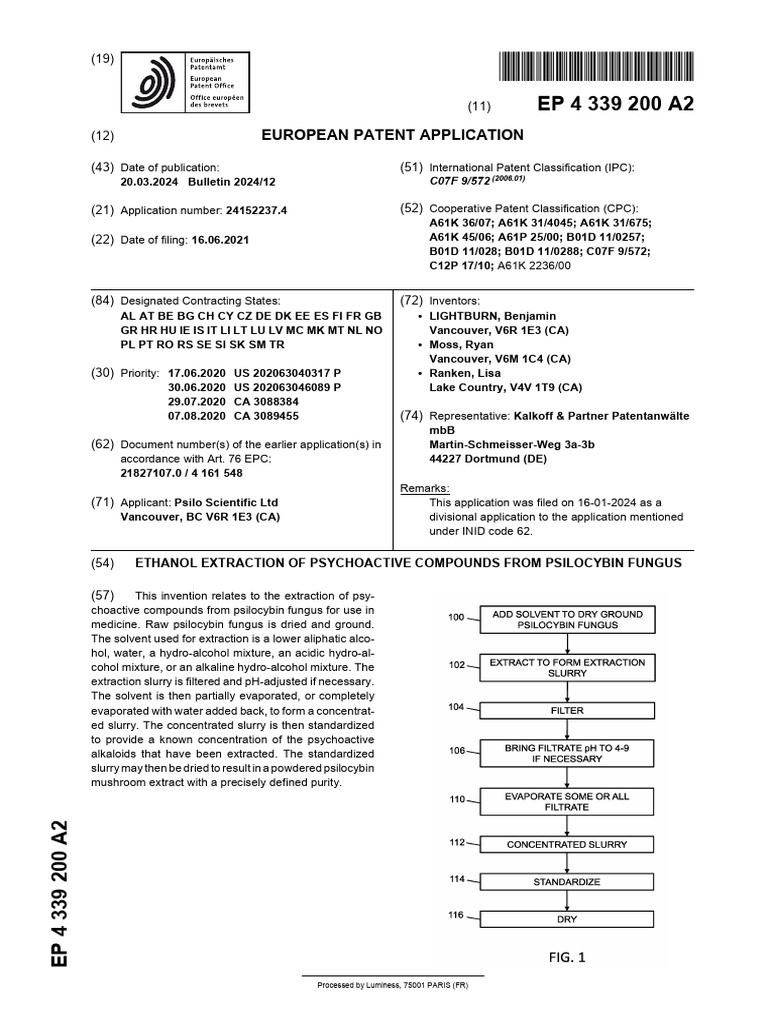 Unlocking the Secrets of Psilocybe Ovoideocystidiata: The Enigmatic Fungus with Potent Psychoactive Compounds