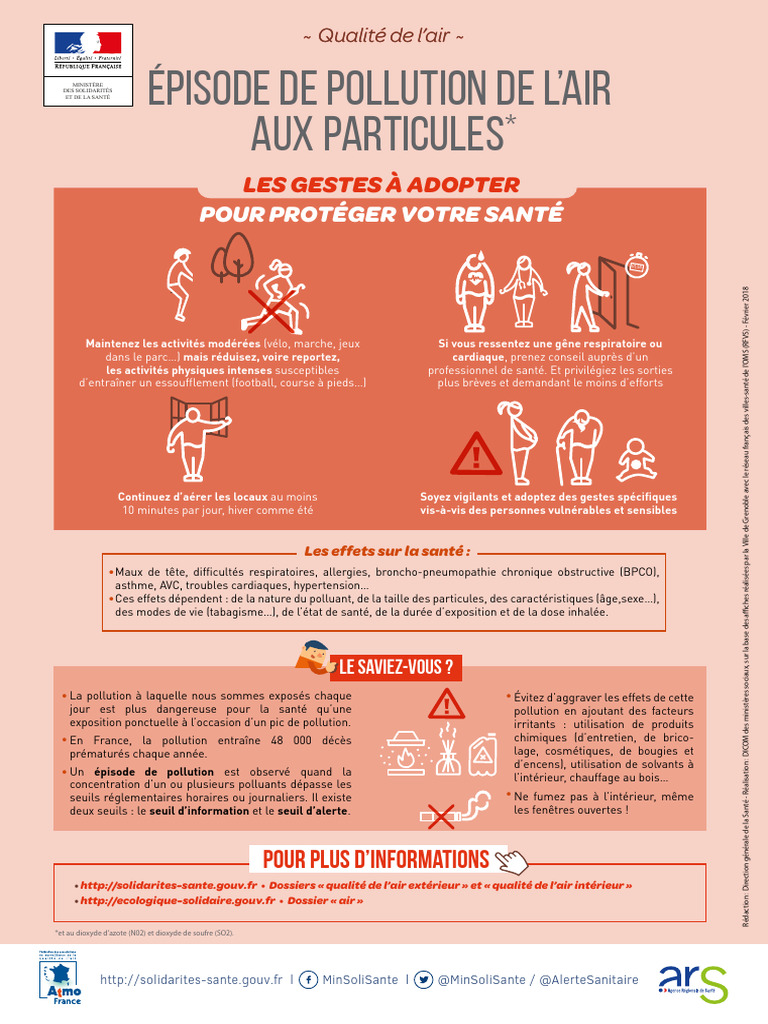 Effets de la pollution sur la santé | PDF | Pollution de l'air ...
