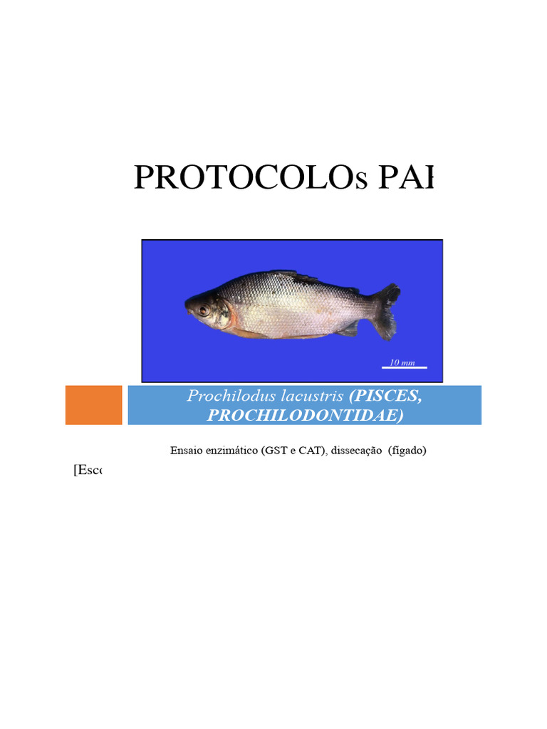Preparo Das Soluções - Protocolo CAT e GST | PDF | Centrifugação ...