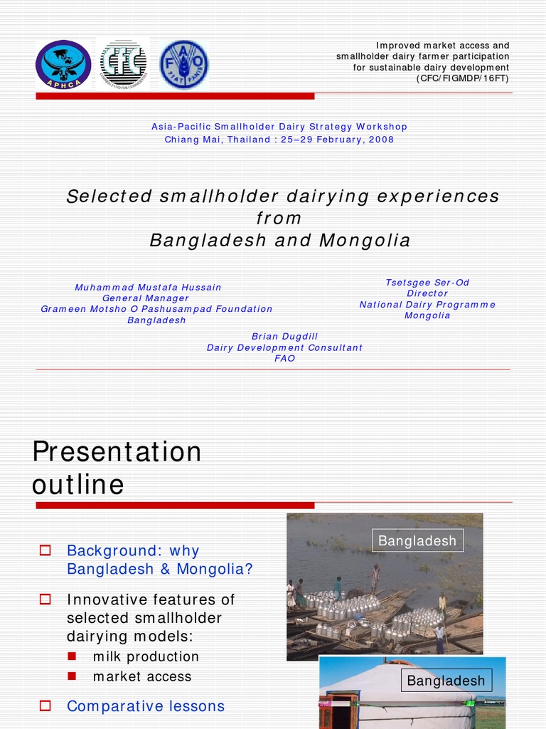 Smallholder Dairy Strategies | PDF | Dairy | Milk