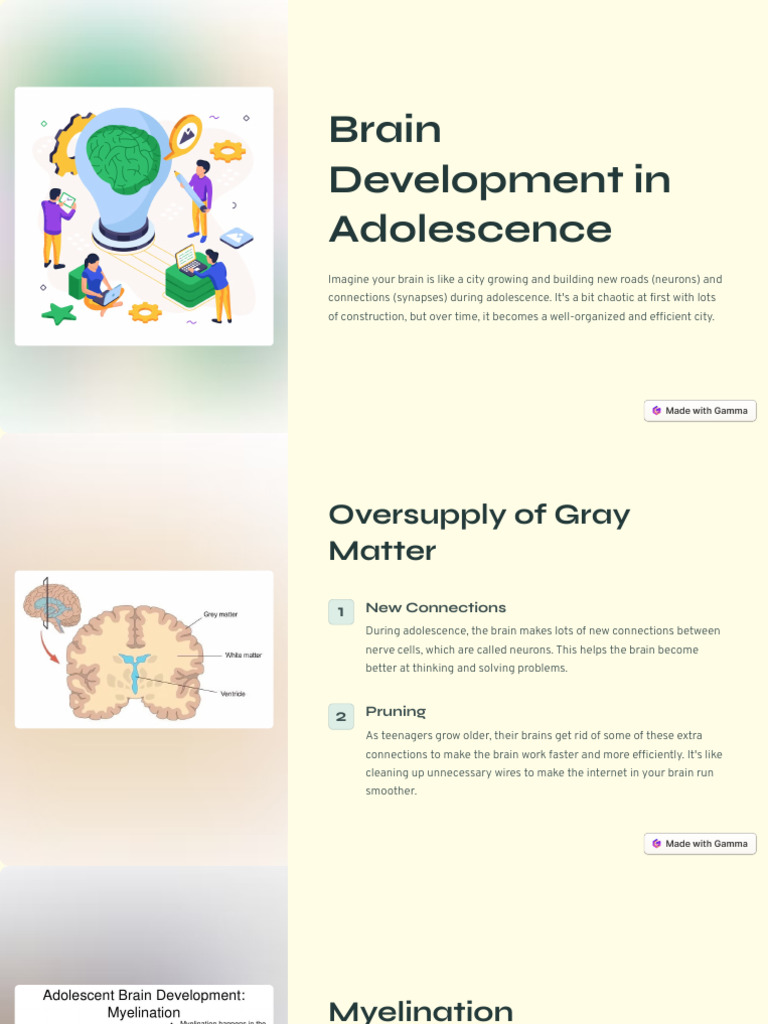 Adolescent Brain Development | PDF | Thought | Adolescence