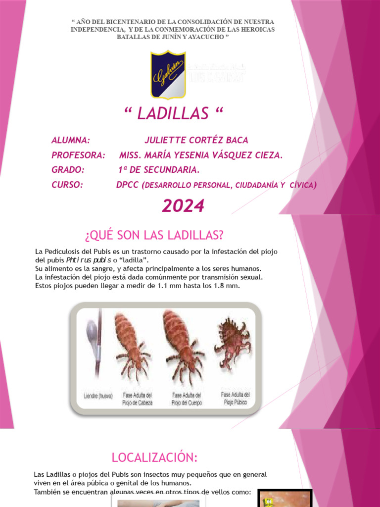 LADILLAS Ok | PDF