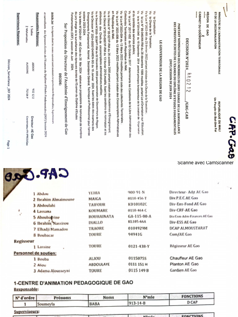 Surveillance DEF 2024 | PDF