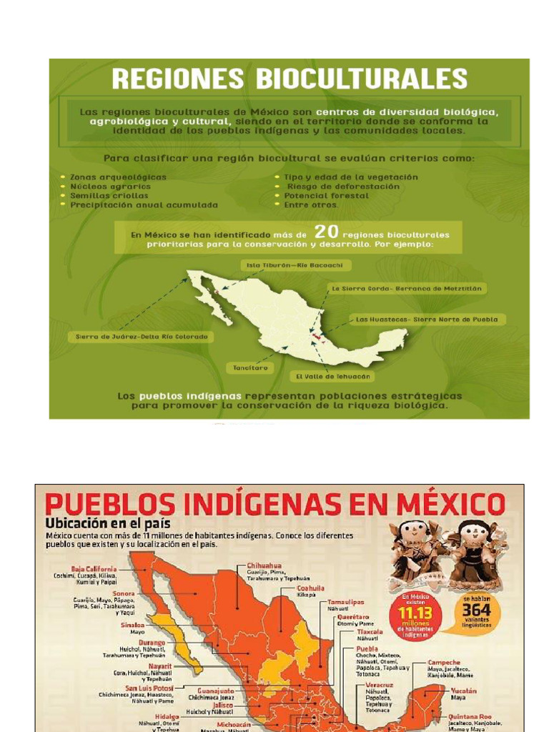 Mapa de Pueblos Indigenas | PDF