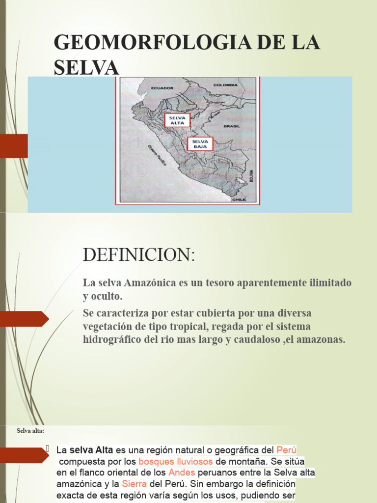 Geomorfología de la Selva Peruana | PDF | Selva | Paisaje