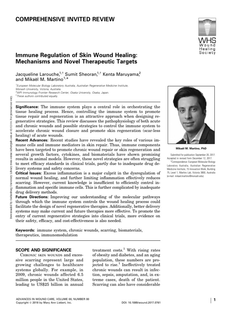Immune System Wound Healing Pdf Wound Healing Macrophage