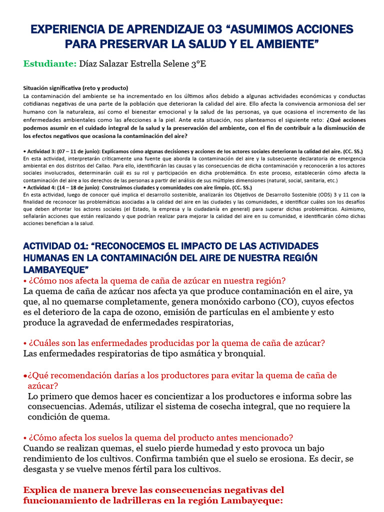 Acciones para Mejorar la Calidad del Aire | PDF | Desarrollo sostenible ...