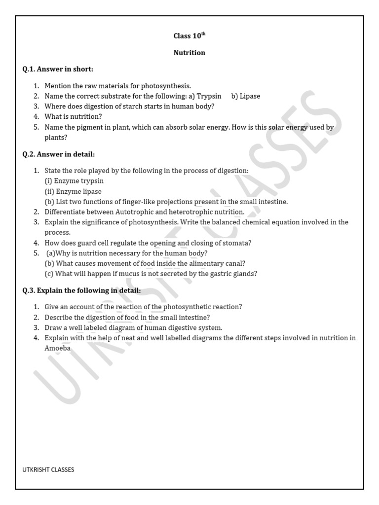 Class 10 Nutrition And Digestion Guide Pdf Science Mathematics