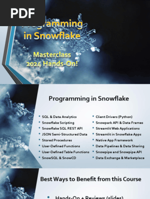 Programming+in+Snowflake+ +All+Slides