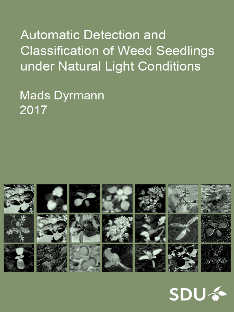 Thesis On Image+ | PDF | Herbicide | Image Segmentation