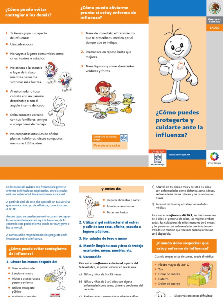 Triptico Influenza 6 | Virus de la Influenza A Subtipo H1 N1 | Influenza