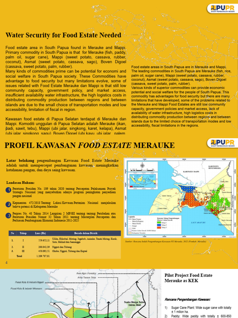Ahmad Rizal Ramdhani food estate papua selatan