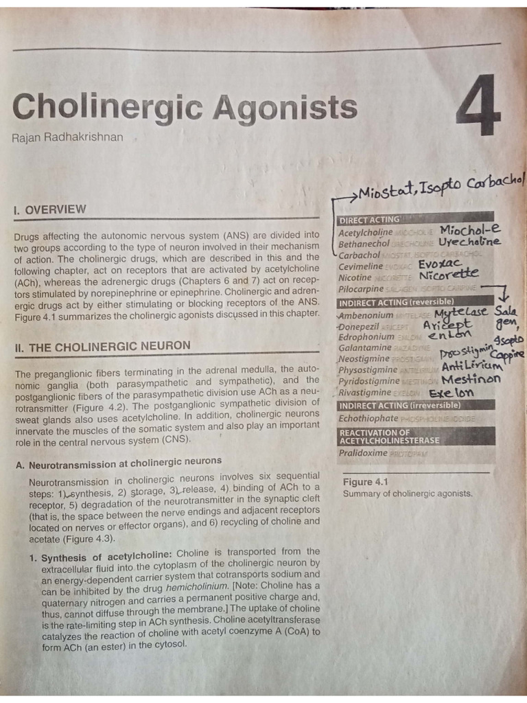 PHARMACOLOGY DRUG CLASSIFICATION CHART PDF FOR NURSING STUDENTS intelligence overview