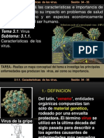 Importancia de los virus: Características e impacto en la salud