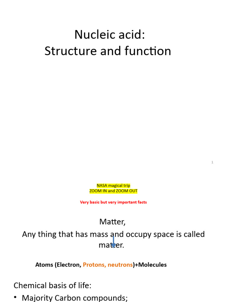 DNA Structure and Function Overview | PDF | Nucleic Acids | Dna