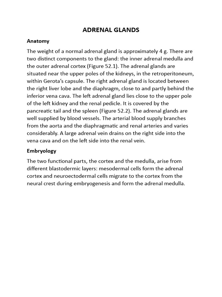 Adrenal Glands: Anatomy, Function, and Histology | PDF | Adrenal Gland ...