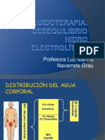 Fluidoterapia y Desequilibrio HE