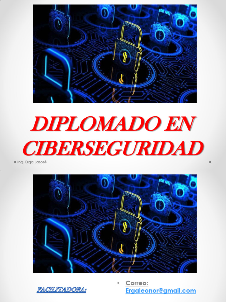Diplomado en Ciberseguridad y Riesgos | PDF | La seguridad informática ...