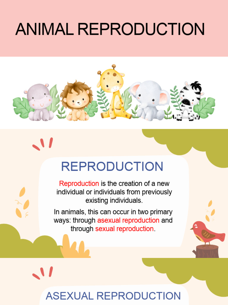 Animal Reproduction Methods Explained | PDF | Egg | Reproduction