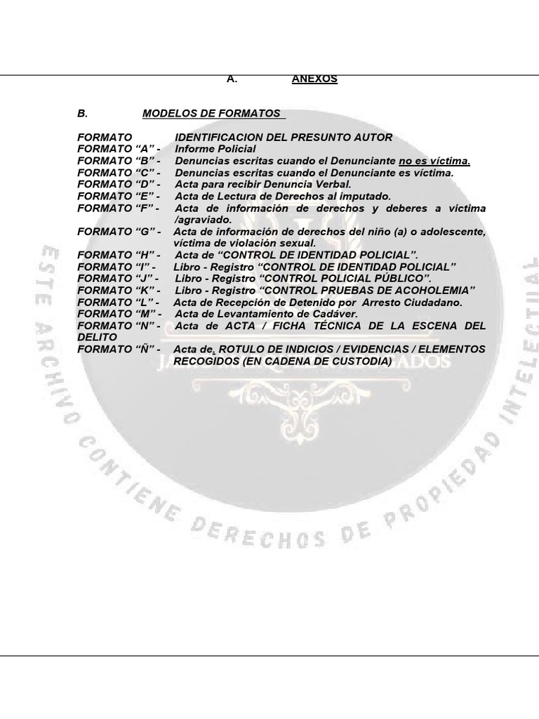 Modelos de Actas en El Nuevo CPP Actualizado 2024 | PDF | Policía ...