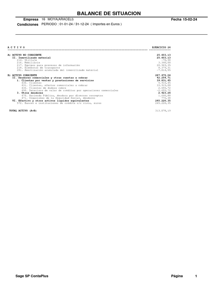 Balance de Situación 2024 - Empresa 16 Moya | PDF | Hoja de balance ...