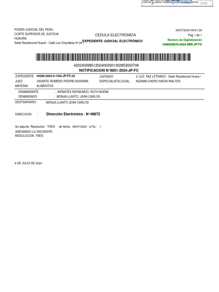 Exp. 00290-2024-0-1302-JP-FC-02 - Consolidado - 09851-2024 | PDF ...