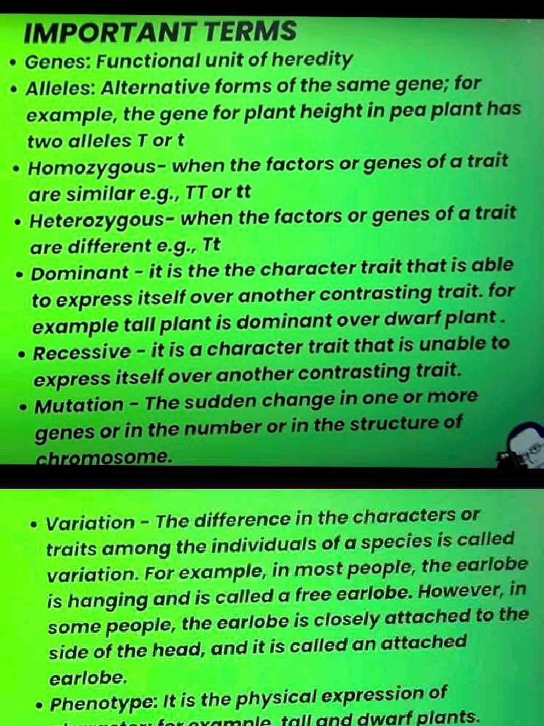 Key Genetics Terms Explained | PDF
