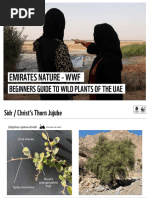 Trees and Flora of Saudi Arabia | PDF | Plants