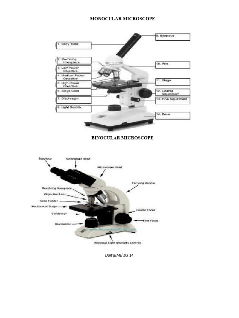Compound Microscope | PDF | Microscope | Glass Engineering And Science