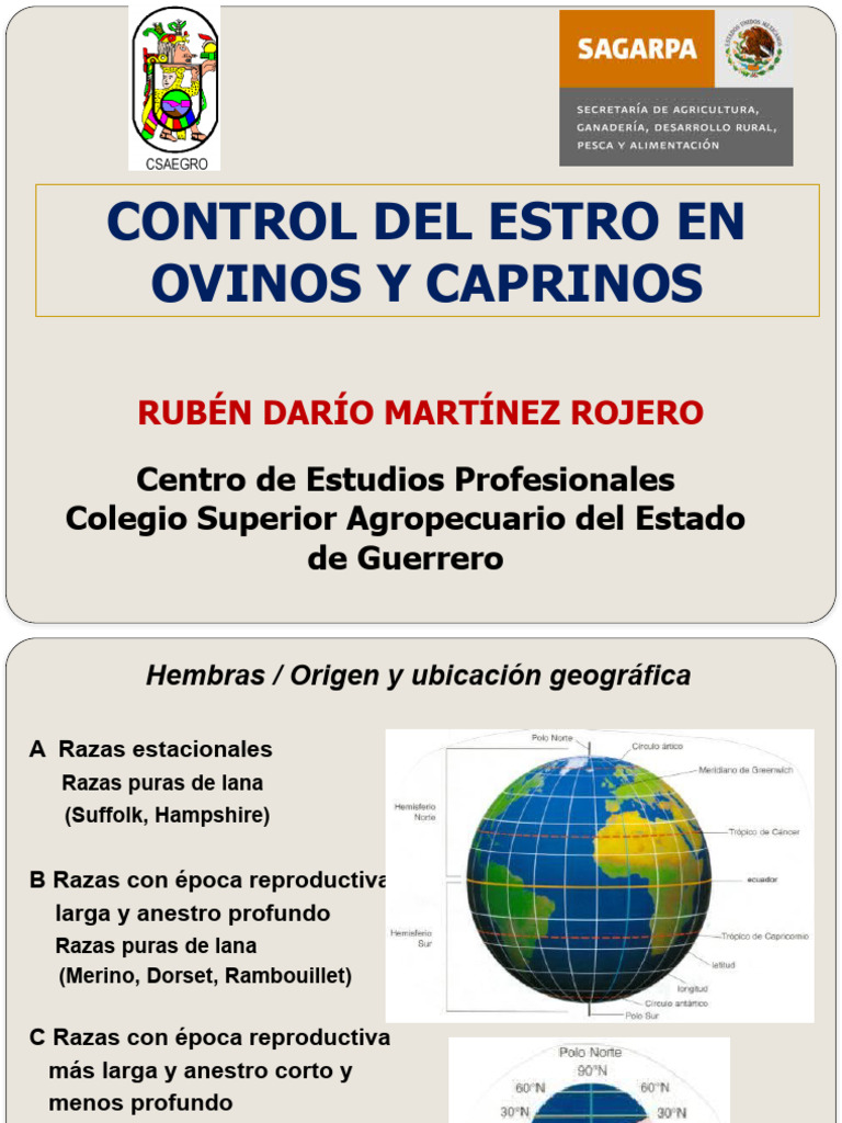 Control Del Estro | PDF | Sistema reproductivo | Reproducción sexual