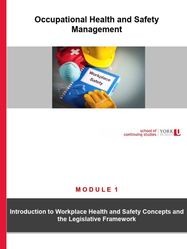 Occupational Health and Safety Overview | PDF | Occupational Safety And ...