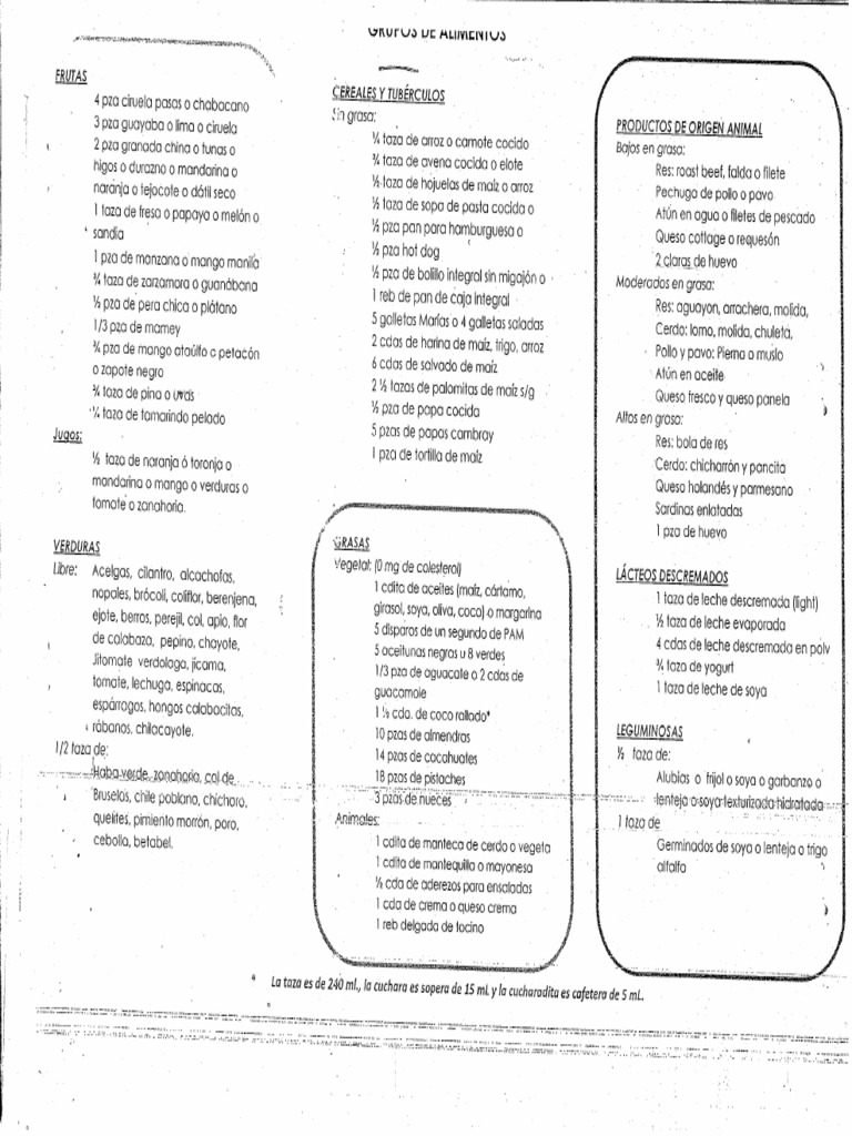 Grupos De Alimentos Pdf
